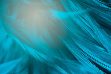 blue green feather texture pattern background with lighting