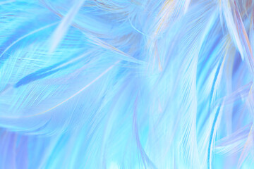 green blue color trends c feather texture background