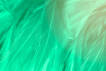 Beautiful green vintage color trends feather texture background