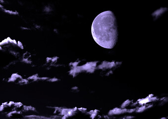 The moon in the night sky