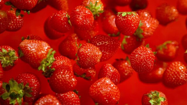 Super Slow Motion Shot of Fresh Strawberries on Red Background Flying Towards Camera at 1000fps.