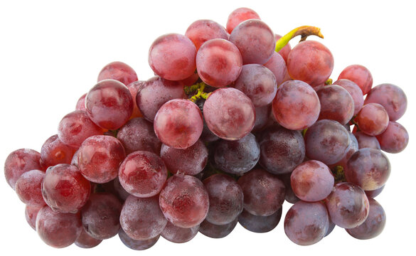 Ripe red wet grape isolated.