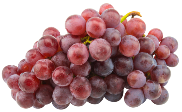 Ripe red wet grape isolated.