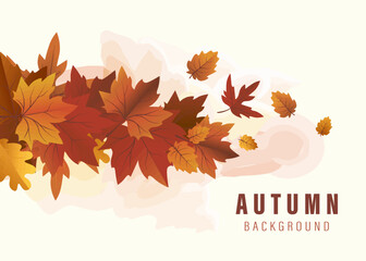 Naklejka na ściany i meble vector autumn background with leaves vector composition