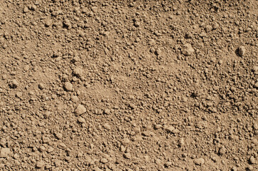 The texture of a fertile brown soil for planting vegetables or berries. Copy space.