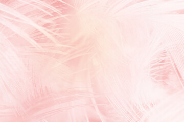Beautiful light pink feather pattern texture background