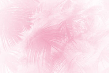 Fototapeta na wymiar Beautiful light pink feather pattern texture background