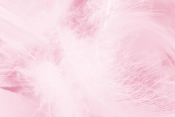 Beautiful light pink feather pattern texture background