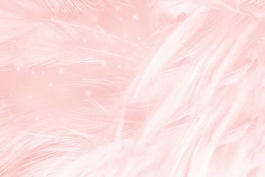 Beautiful light pink feather pattern texture background