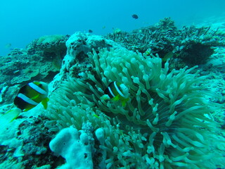 Beautiful beach of Boracay island in Philippines