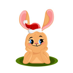 bunny on white with red hat