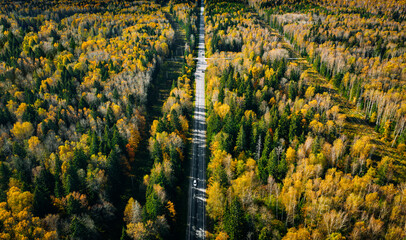 Aerial view of road with car through fall autumn woods or forests