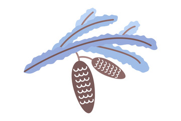 Spruce branch with cones on a white background