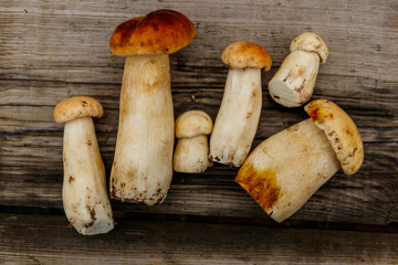 Freshly picked porcini mushrooms on rustic wooden table. Top view
