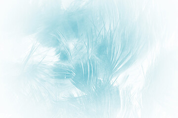 Beautiful pastel blue turquoise color trends feather pattern texture background