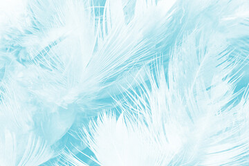 Beautiful  pastel blue turquoise color trends feather pattern texture background