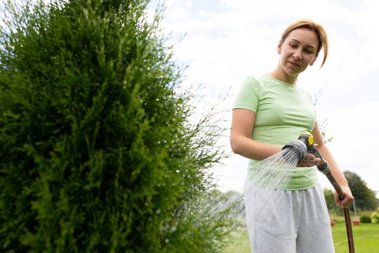 young woman carefully watering coniferous plants in the heat in the garden with a hose