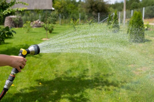 watering the lawn with a garden hose with a sprayer
