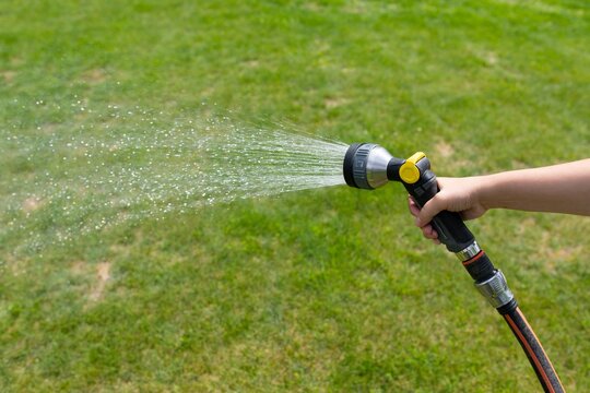 sprinkling the lawn with water from a garden hose