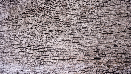 Old Wood Wooden Background Wallpaper and Texture Rustic Vintage Style.