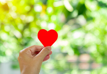 Fototapeta na wymiar Hand hold heart on out of focus tree background.