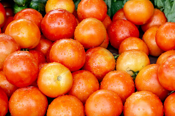 Group of tomatoes with water droplets on the surface