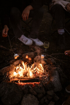 Friends roasting marshmallows over campfire