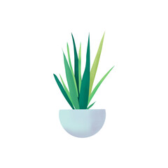 Plant illustration