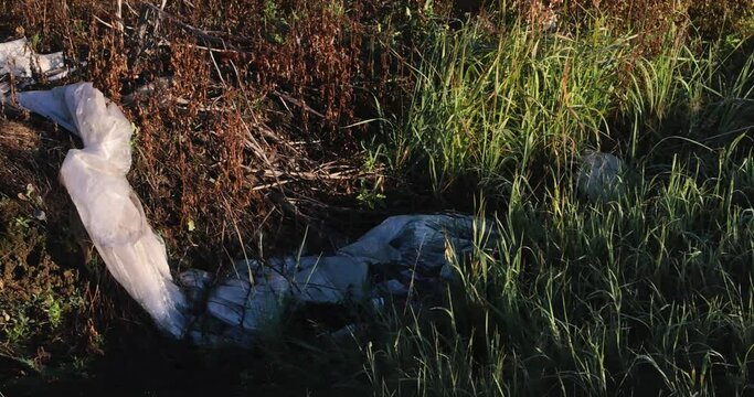 Non biodegradable polyethylene bag contaminates soil. Save the environment