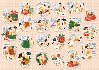 22 stickers with funny Christmas cat. Humorous quotes. Prints with cat preparing to new year. Greeting card for holiday party. Poster, print. Flat style in vector illustration. A4 format.