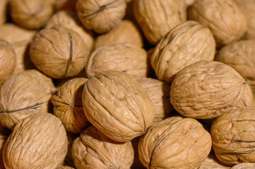 Pile of ripe walnuts. Closeup