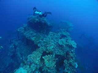 Diving on the "Iro" famous ship wrecks of the Palau archipelago. Diving on the reefs of the Palau. These ship wrecks were from Japanese Navy at WW2.