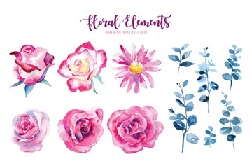 Watercolor painting of rose flower elements collection. 
