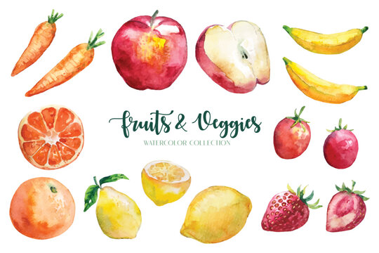 Watercolor painting of fruits and vegetables collection