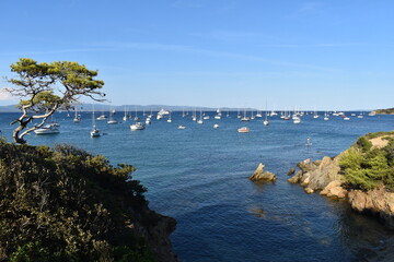 Crique sur la presqu'île de Giens