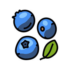 blue blueberry berry color icon vector. blue blueberry berry sign. isolated symbol illustration