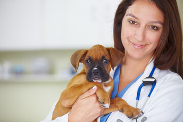 Your puppy is back to perfect health. Portrait of a pretty smiling vet holding a puppy and smiling at the camera.