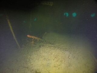 Diving on the ship wrecks of the Palau archipelago. These ship wrecks were from Japanese Navy at...