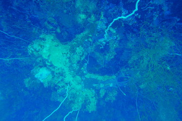 Diving on the ship wrecks of the Palau archipelago. These ship wrecks were from Japanese Navy at WW2.