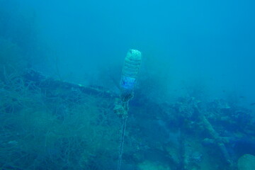Diving on the ship wrecks of the Palau archipelago. These ship wrecks were from Japanese Navy at...