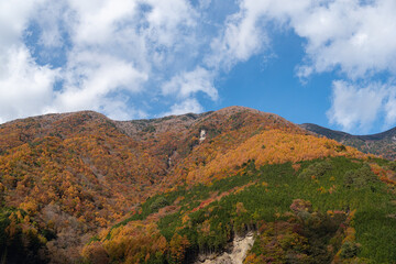 美しい山の紅葉　静岡県畑薙湖
