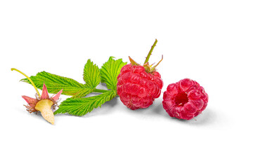 Ripe raspberries close-up, isolated on a white background, macro photography