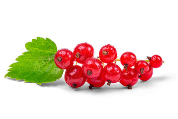 A bunch of red currants in water drops, macro photography, isolated on a white background