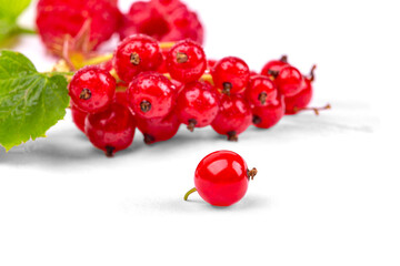 Red currant berry close-up on the background of a bunch of red currants, macro photography, on a white background