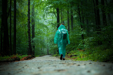 Fototapeta premium a girl tourist in a raincoat walks through the forest. forest with path.