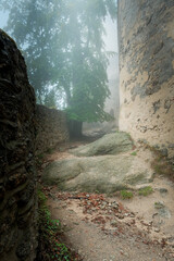 Ruine castles median old buildings . old stone castle. building in the forest. castle overgrown...