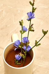 chicory powder and chicory flowers in a coffee mug