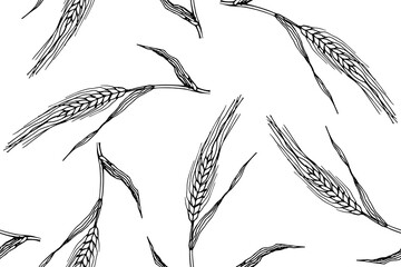 Seamless pattern with barley or rye plants branches. Wheat grain plant sketch illustration on white background.
