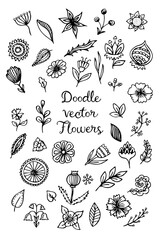 Doodle flower set. Hand drawn line sketch floral collection