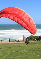 Obraz premium Paraglider landing at a seaside
